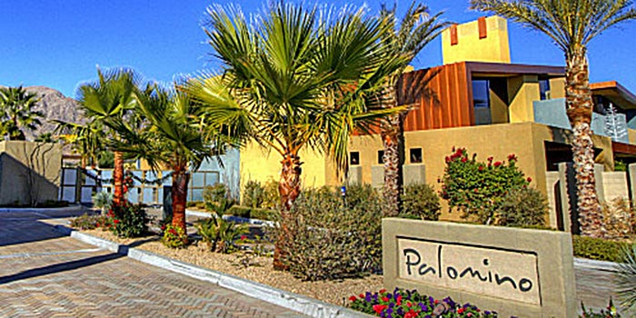 Image Number 1 for Palomino in Palm Springs