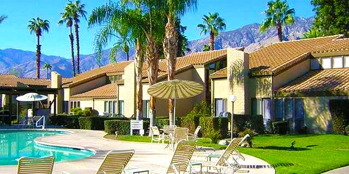 Image Number 1 for Sunflower in Palm Springs