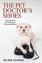 The Pet Doctor's Shoes - book cover